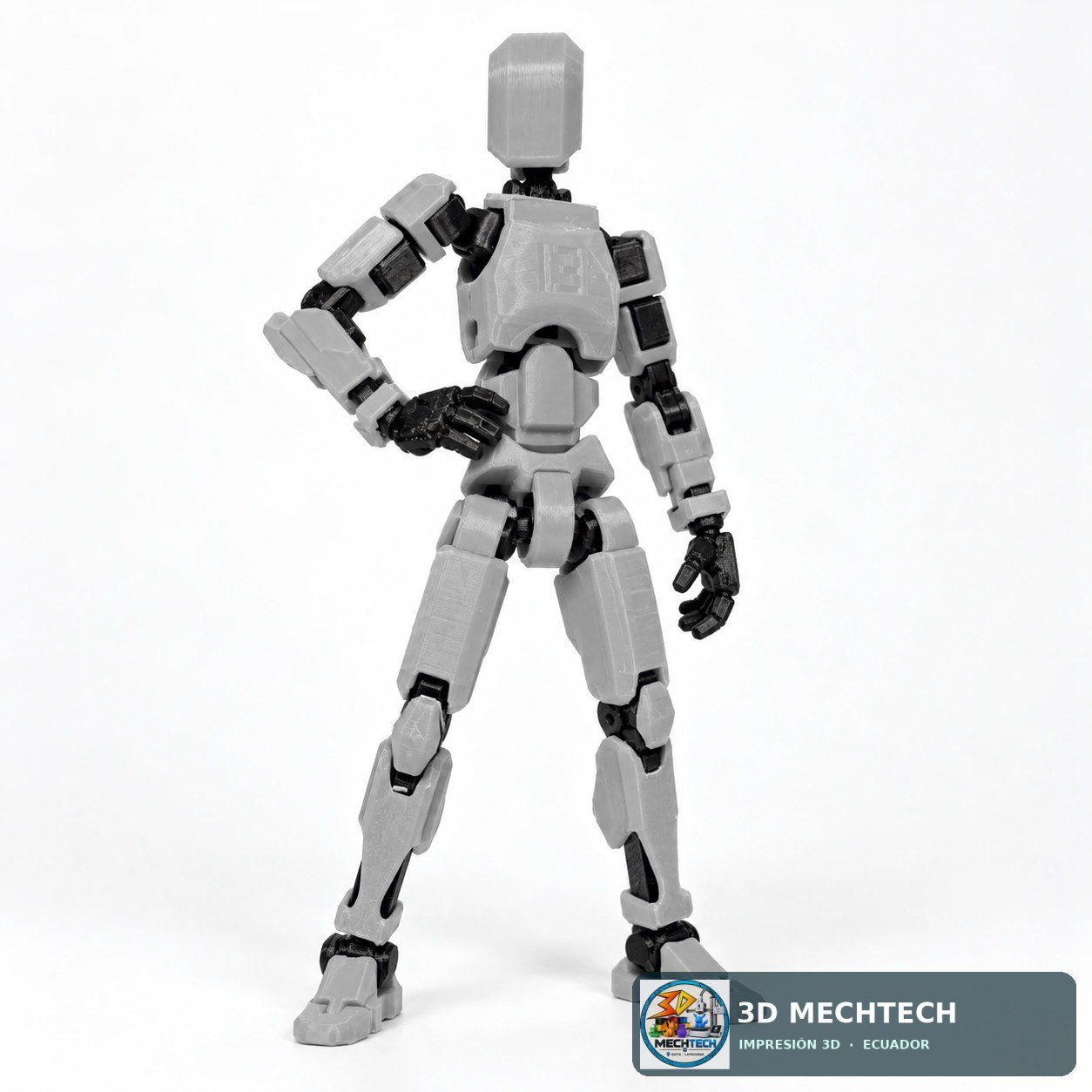 Detalle 3 de Dummy 13 Articulado Gris y Negro | Figura Armada